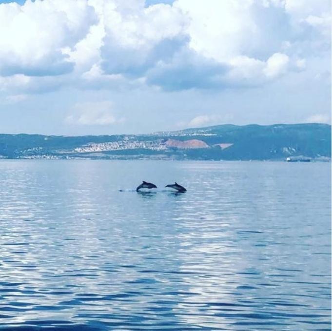 קוג'לי Blue Pier Hotel מראה חיצוני תמונה
